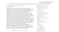 Desktop Screenshot of galeriasim.pl